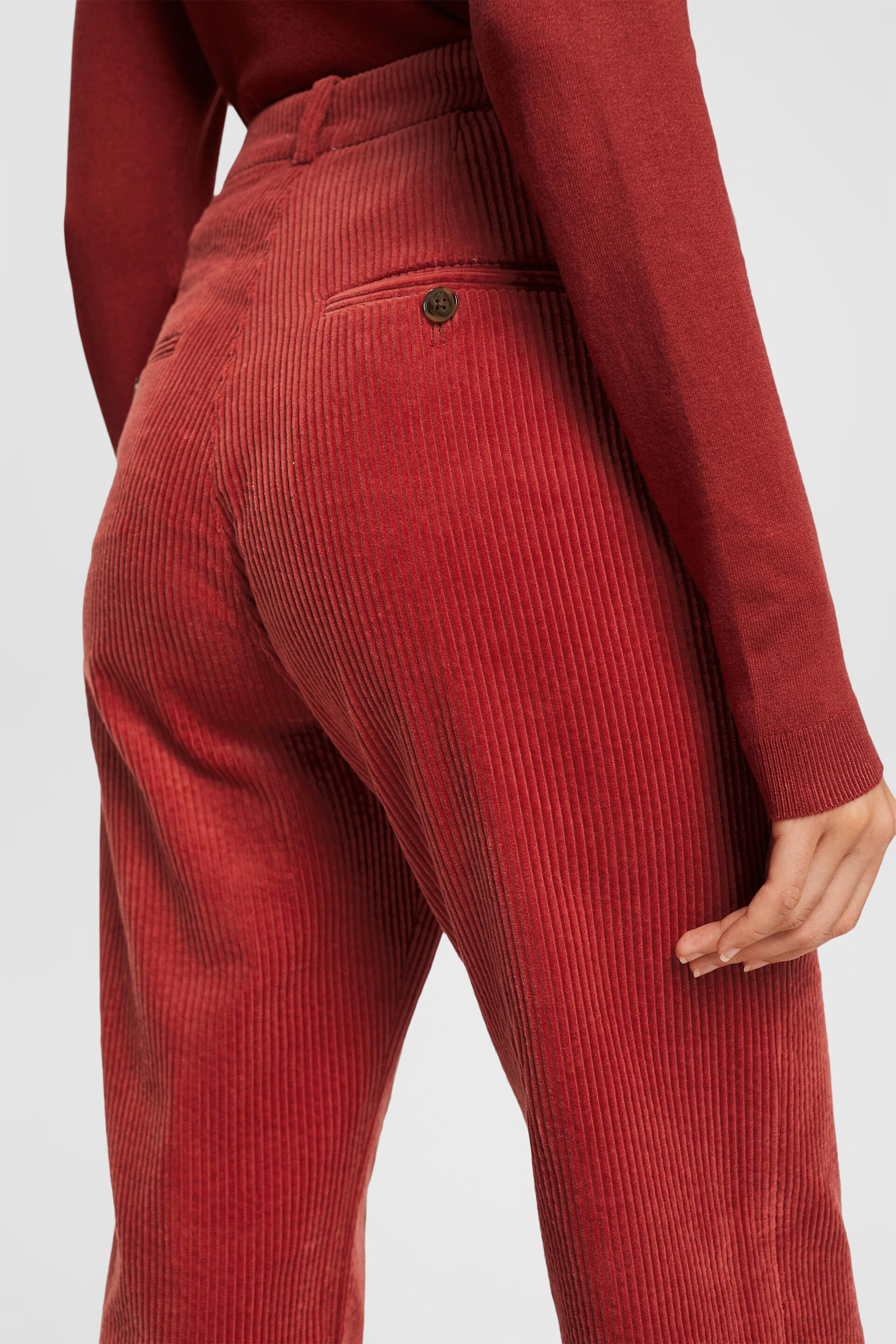 US POLO ASSN Bottoms  Buy US POLO ASSN Boys Dark Red Mid Rise Corduroy  Trousers Online  Nykaa Fashion